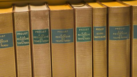 Eine antike Sammlung zeigt die Buchrücken von Romanen von Marcel Proust. 