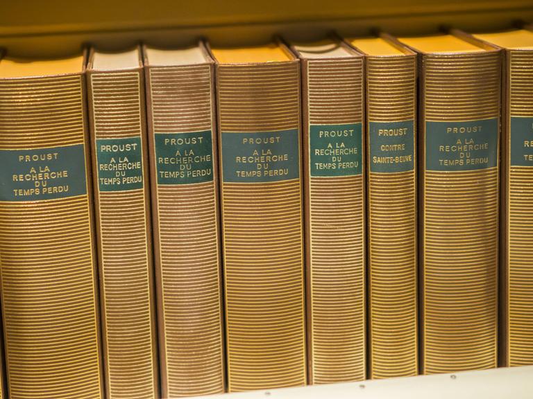 Eine antike Sammlung zeigt die Buchrücken von Romanen von Marcel Proust. 