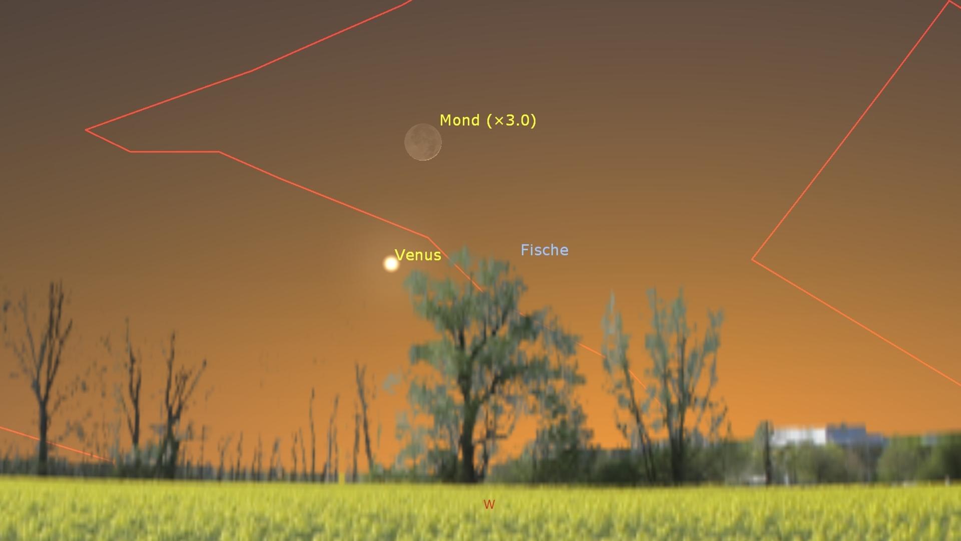 Ein Foto mit einer verschwommenen Baumreihe zeigt den Mond und die Venus bei Sonnenuntergang