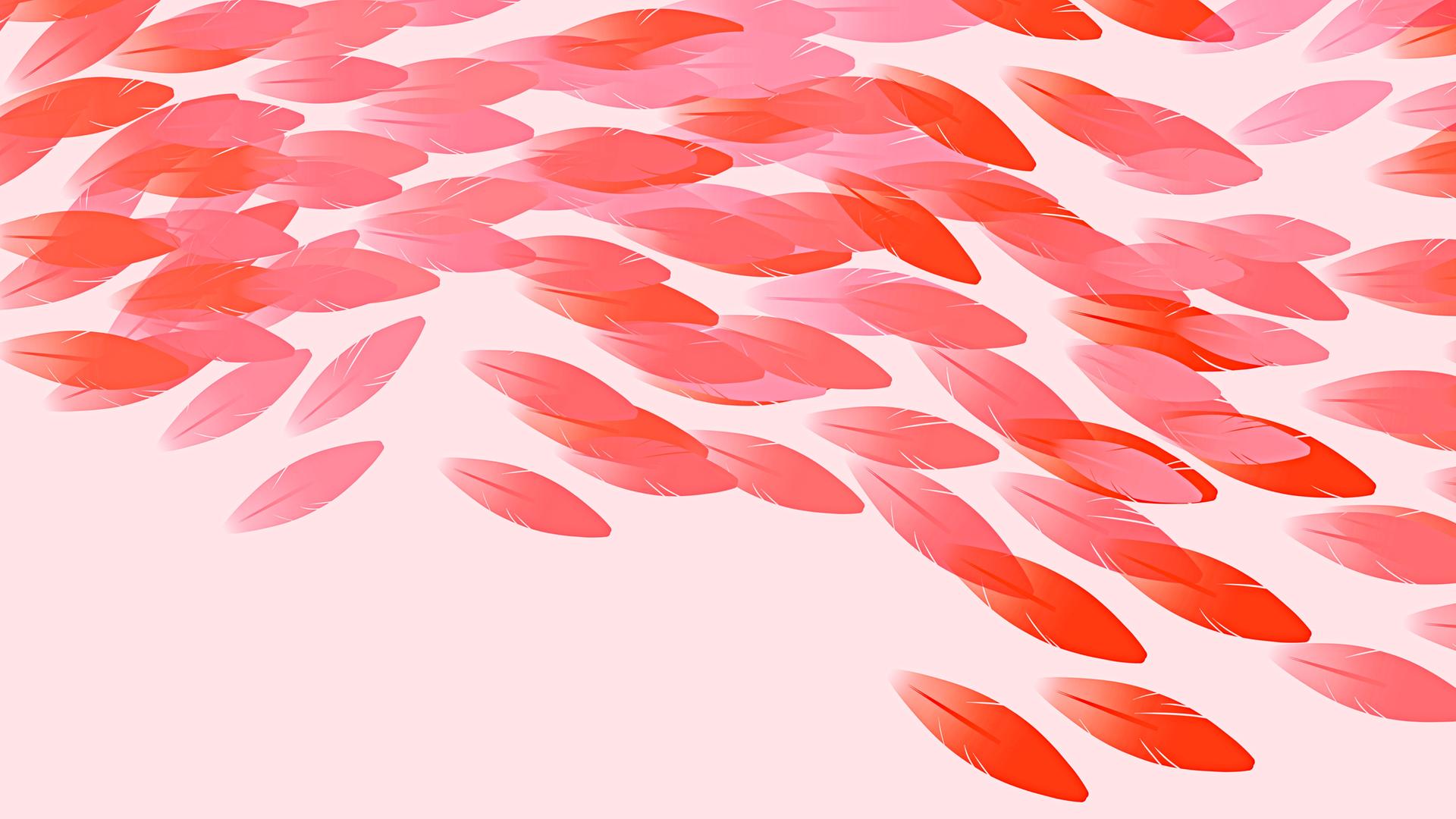 Abstrakte pinke Federn vor leicht rosanem Hintergrund. Abstrakte pinke Federn vor leicht rosanem Hintergrund.