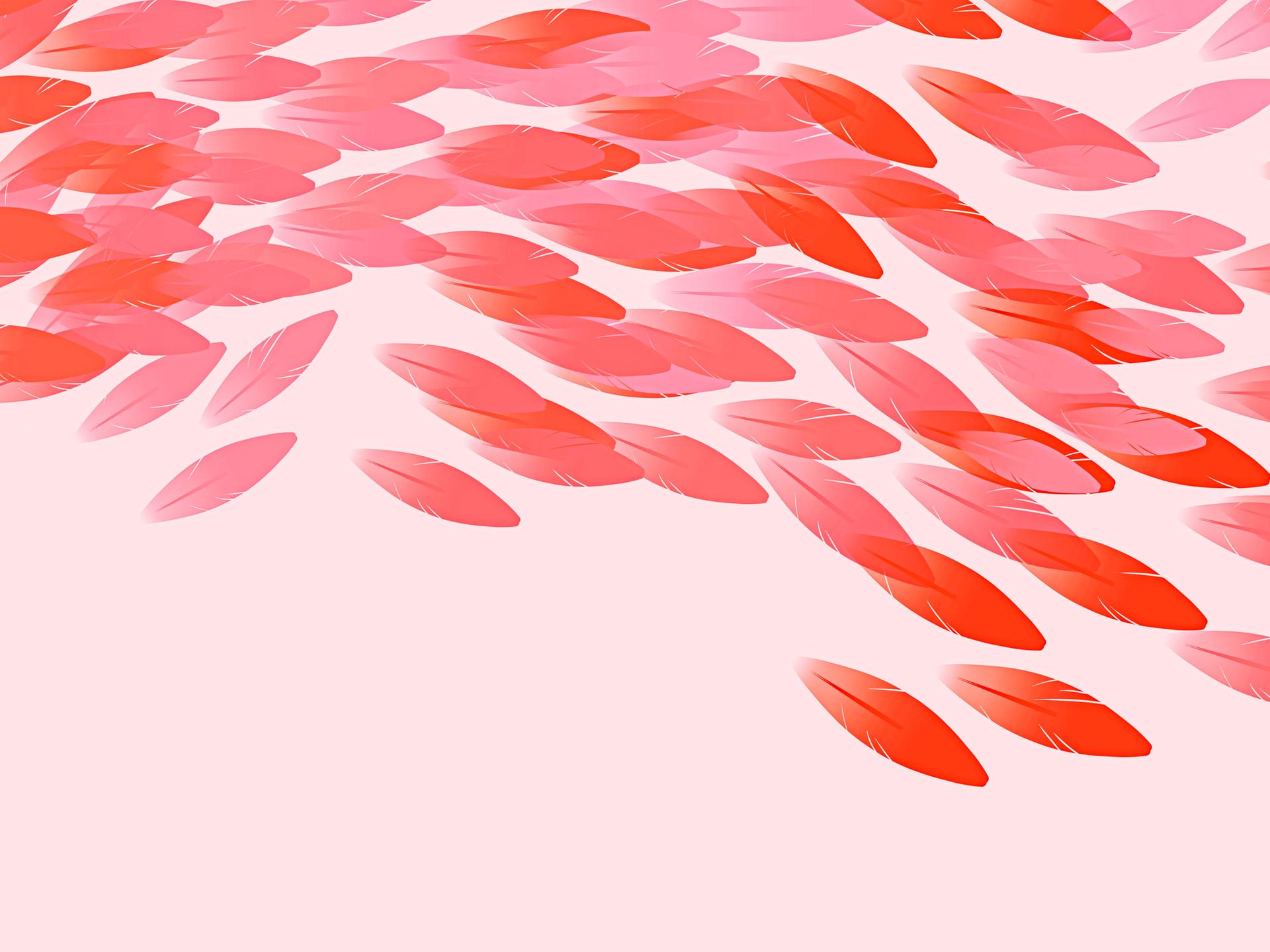 Abstrakte pinke Federn vor leicht rosanem Hintergrund.