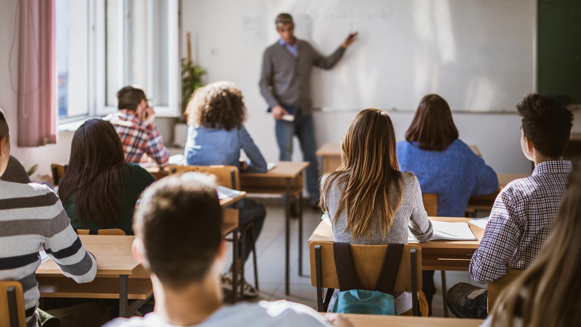 Rückansicht einer Schulklasse im Unterrichtsraum. An der Tafel steht der Lehrer.