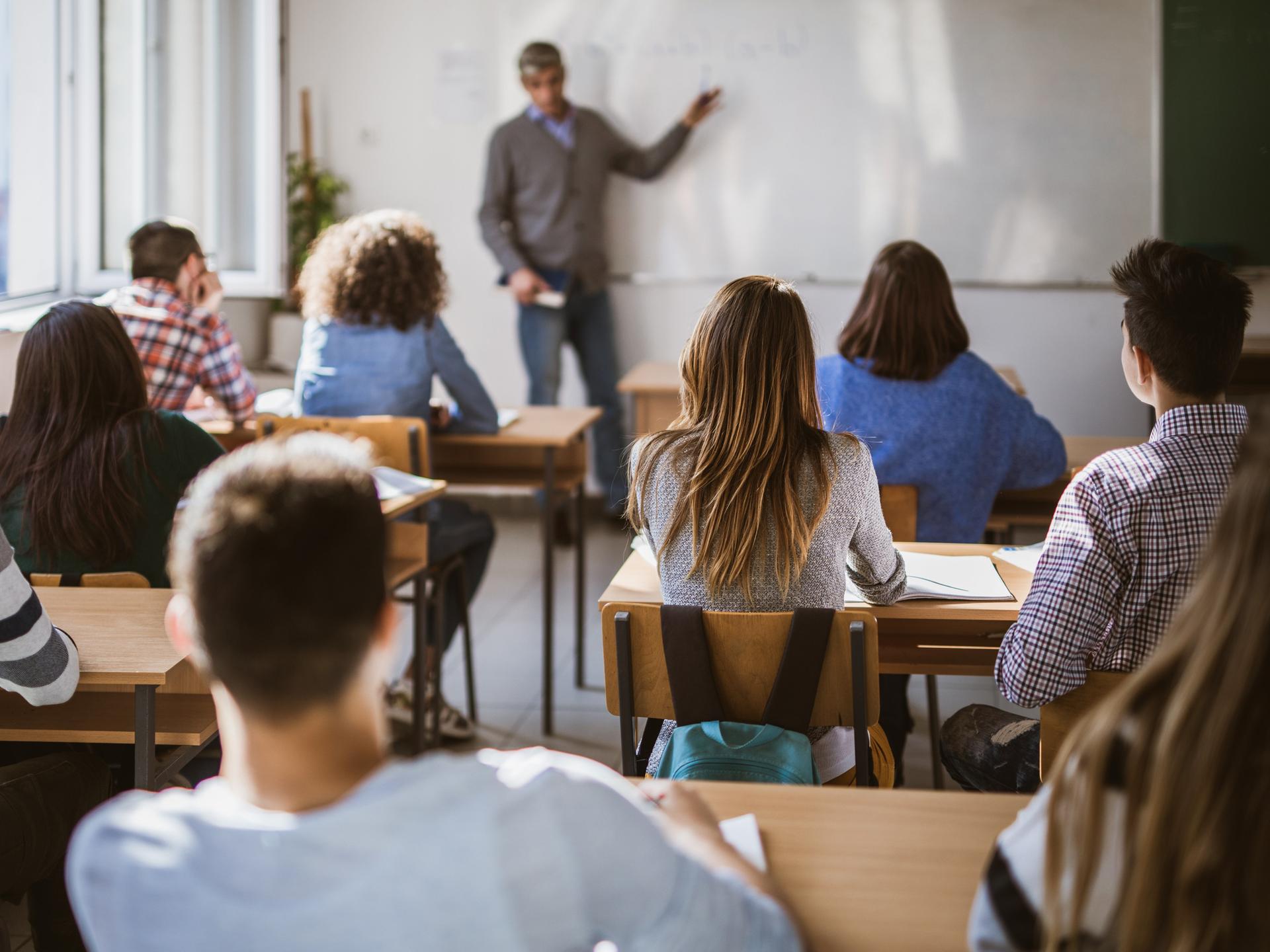 Rückansicht einer Schulklasse im Unterrichtsraum. An der Tafel steht der Lehrer.