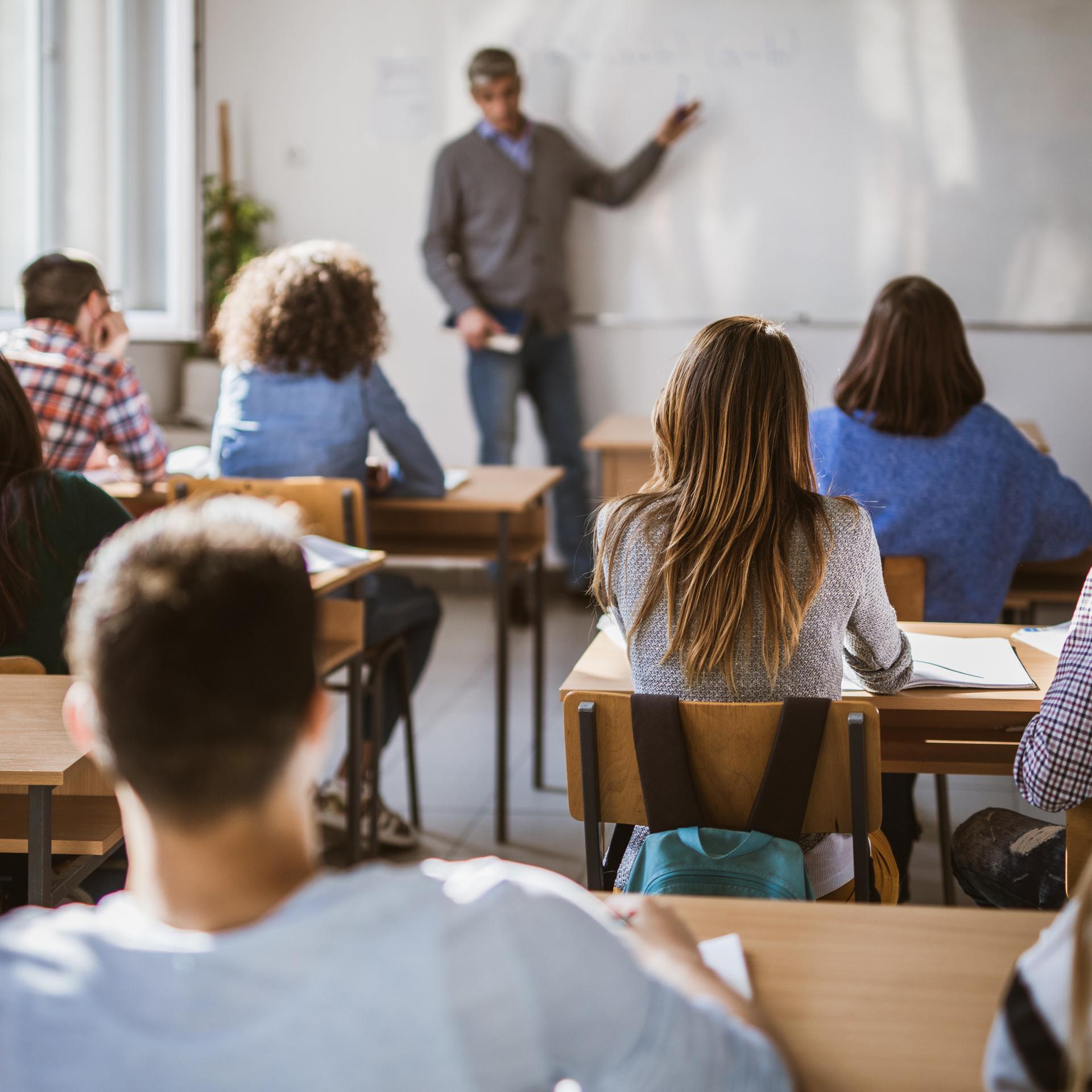 Rückansicht einer Schulklasse im Unterrichtsraum. An der Tafel steht der Lehrer.