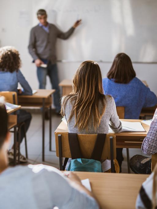 Rückansicht einer Schulklasse im Unterrichtsraum. An der Tafel steht der Lehrer.