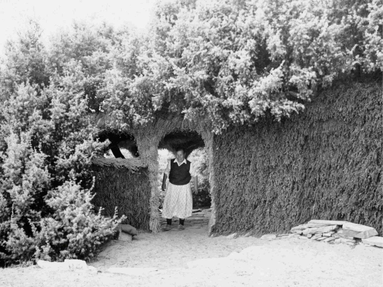 Die sardische Dichterin Orlanda Sassu - genannt Iolanda - in ihrem Baumhaus Die sardische Dichterin Orlanda Sassu - genannt Iolanda - in ihrem Baumhaus