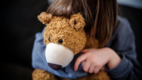 Ein kleines Mädchen mit braunen Haaren versteckt sich hinter einem Kuscheltier. Das Gesicht ist nicht zu sehen. (Gestellte Aufnahme) 