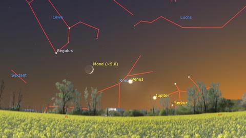 Der Abendhimmel. Zu sehen sind die Mondsichel, die Planeten Venus und Jupiter und der Stern Regulus. Vor den tatsächlichen Planeten sind Linien eingezeichnet, die die Zusammenhänge verdeutlichen sollen.
