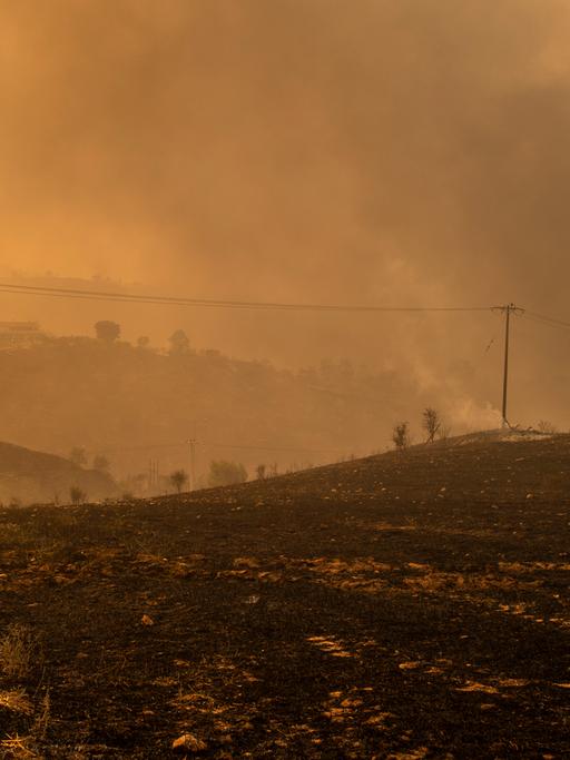 Rauch steigt von verbranntem Gelände in einem Waldgebiet nördlich von Athen auf