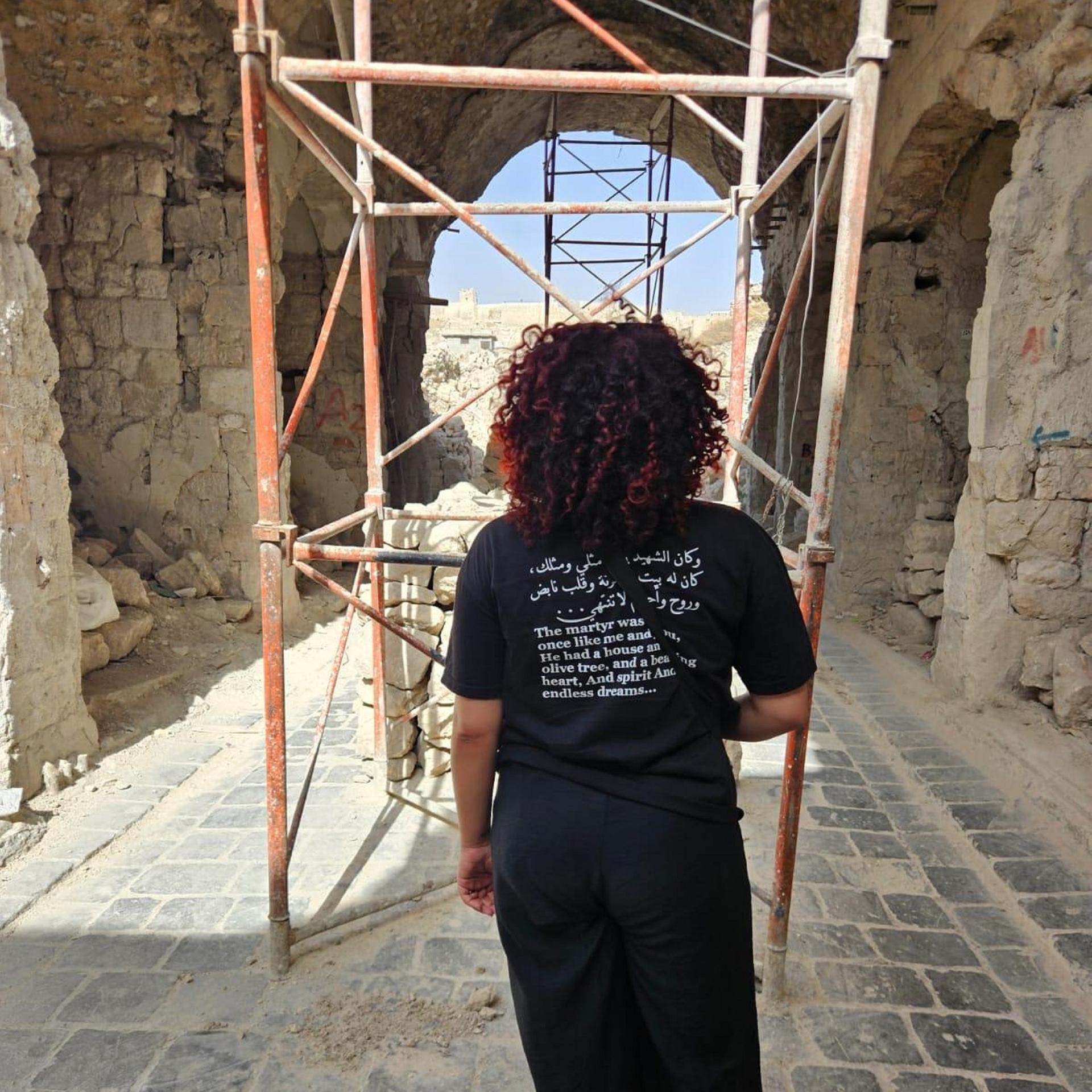 Syrien - Tagebuch einer Rückkehr nach Aleppo