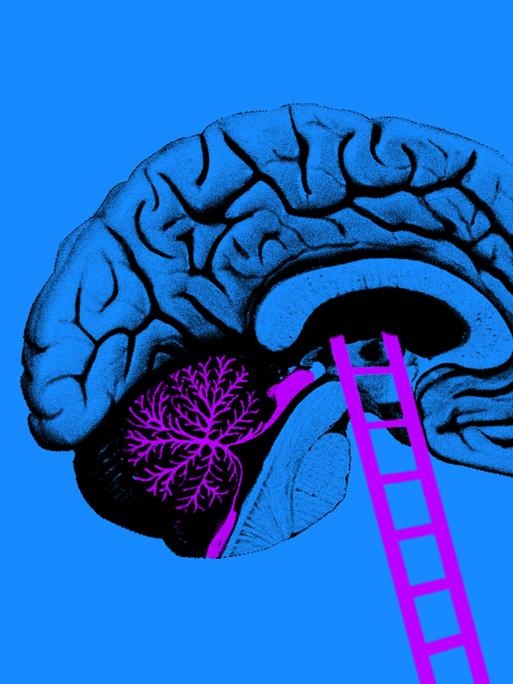 Eine grafische Darstellung zeigt ein menschliches Gehirn, an das eine kleine Leiter gelehnt ist.
