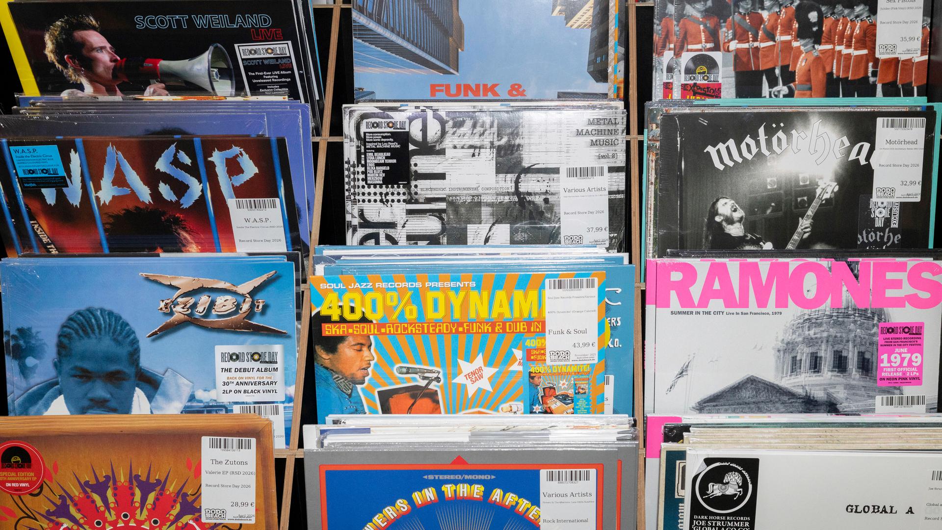 Bunte Schallplatten-Cover von den Ramones, Motörhead und anderen Bands stehen in einem Berliner Plattenladen.