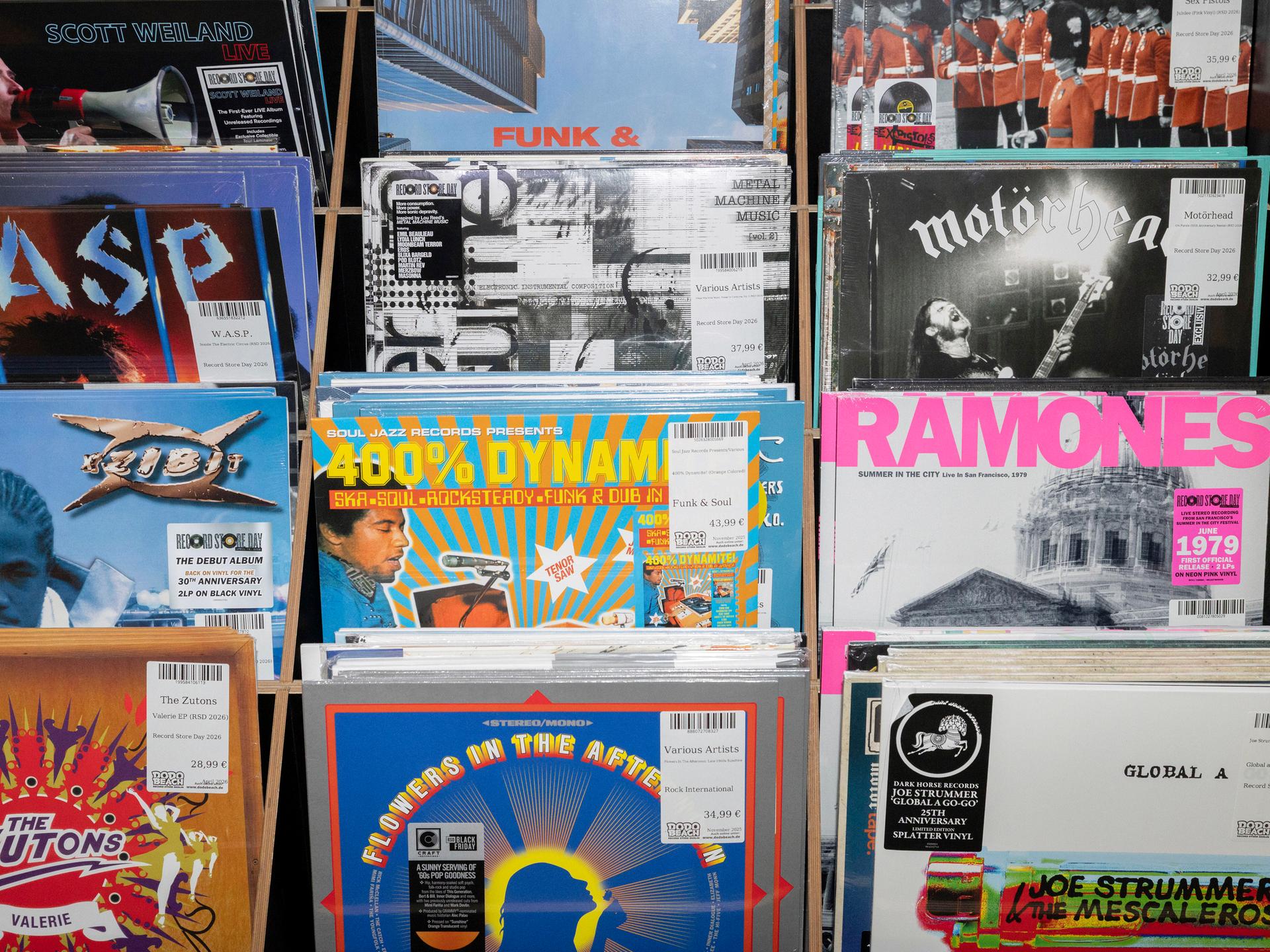 Bunte Schallplatten-Cover von den Ramones, Motörhead und anderen Bands stehen in einem Berliner Plattenladen.