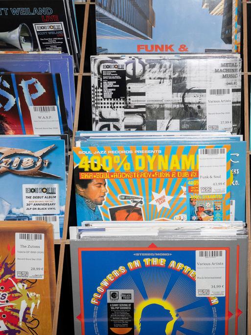Bunte Schallplatten-Cover von den Ramones, Motörhead und anderen Bands stehen in einem Berliner Plattenladen.