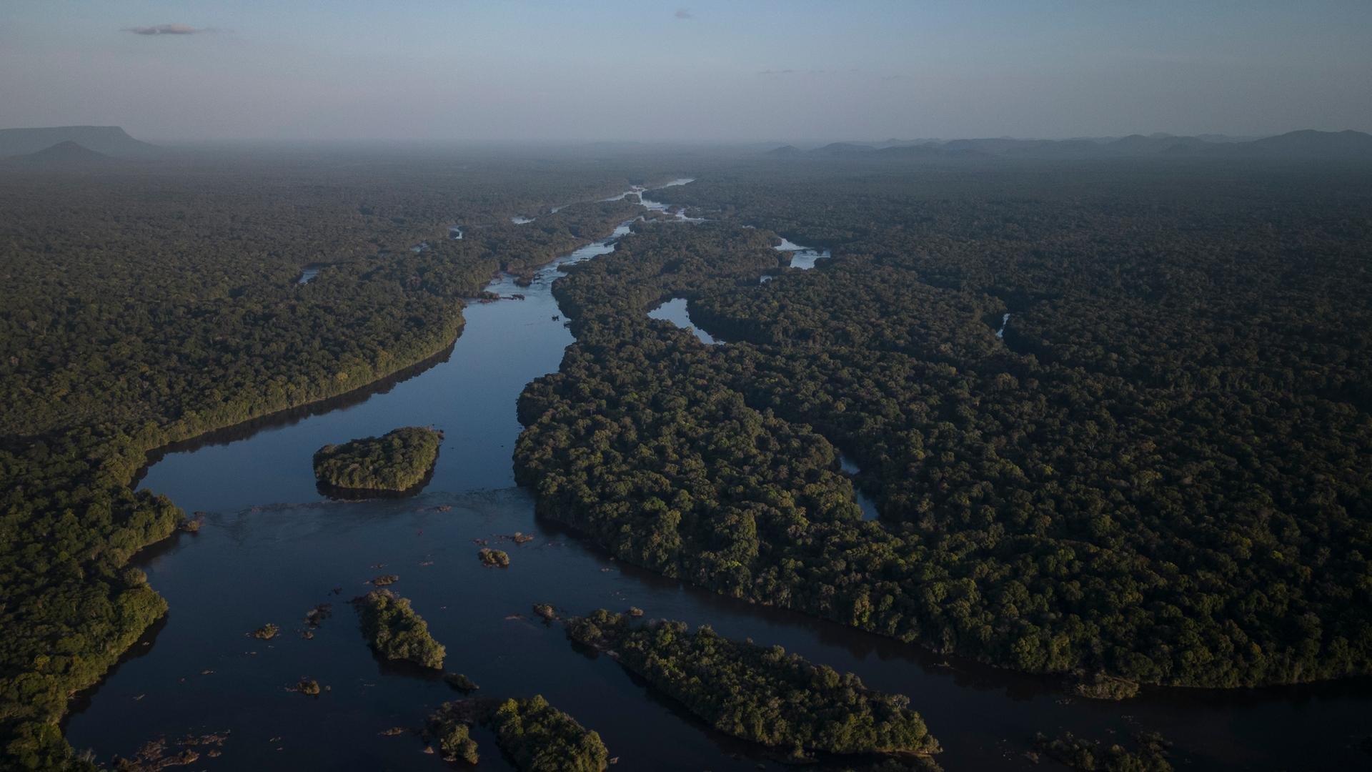 Waldgebiet in Guyana, das vom Essequibo-Fluss geteilt wird.