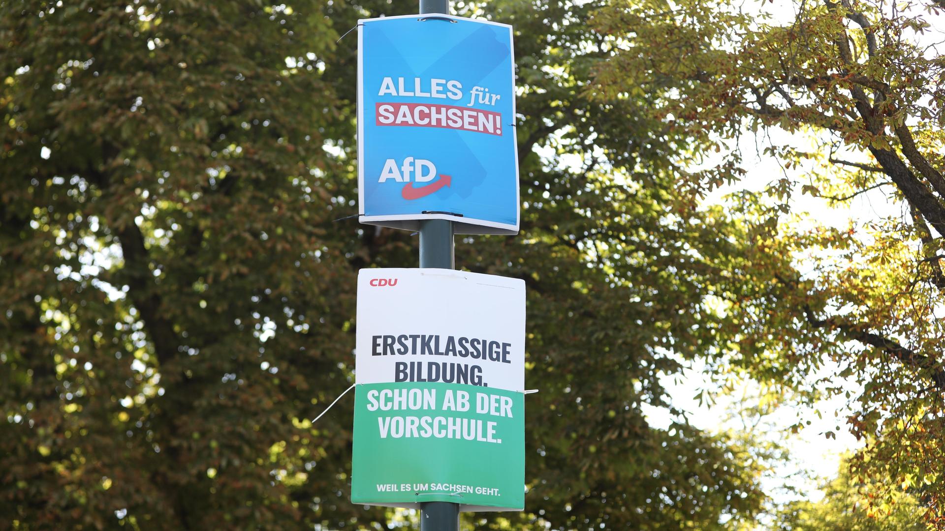 Wahlplakate zur Landtagswahl: Wahlplakate von AfD ("Alles für Sachsen") und CDU ("Erstklassige Bildung schon ab der Vorschule") zur sächsischen Landtagswahl 2024 