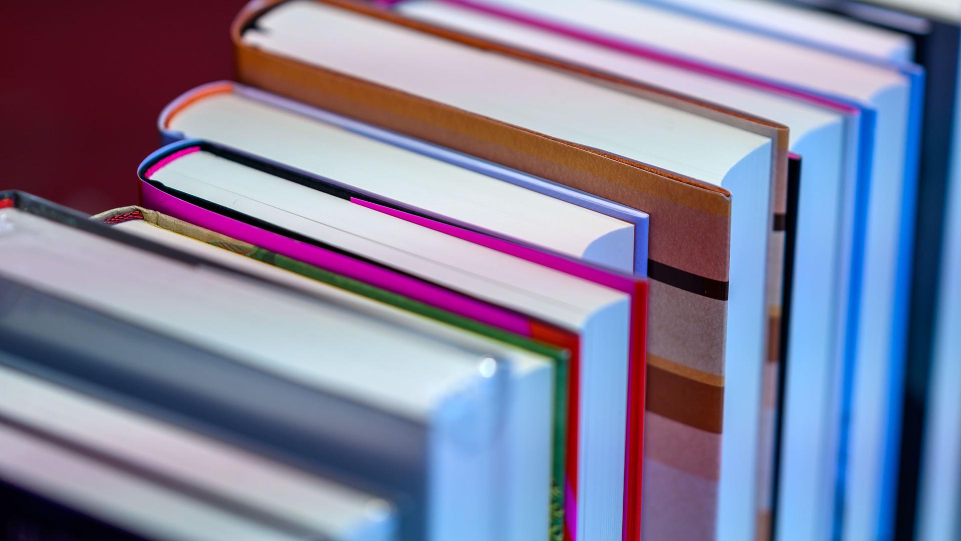 Mehrere Bücher stehen nebeneinander. Mehrere Bücher stehen nebeneinander.