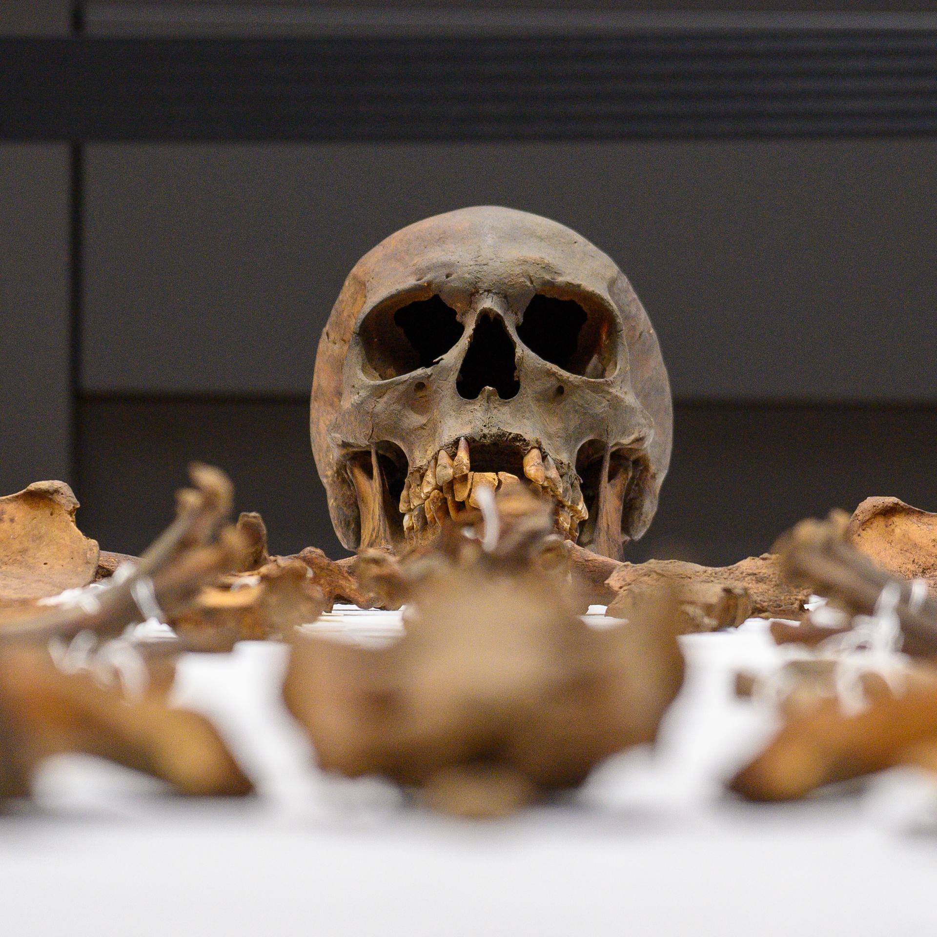 Kaiserliches Grab - Wie gesund war Otto der Große?