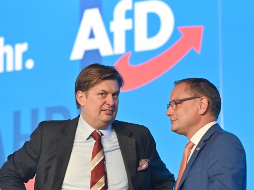 Die AfD-Politiker Maximilian Krah (links) und Tino Chrupalla vor dem AfD-Logo 