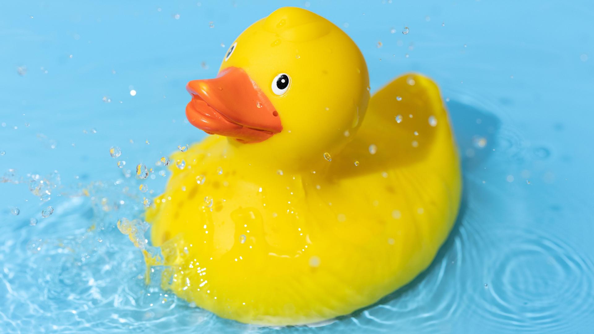 Eine gelbe Gummiente schwimmt in einem blauen Wasserbecken