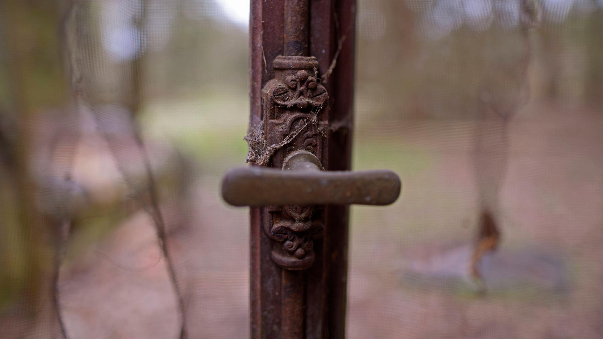 Im Fokus des Bildes ist ein alter, brauner Fenstergriff. Rundherum sind Spinnweben erkennbar. Im Fokus des Bildes ist ein alter, brauner Fenstergriff. Rundherum sind Spinnweben erkennbar.
