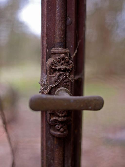 Im Fokus des Bildes ist ein alter, brauner Fenstergriff. Rundherum sind Spinnweben erkennbar. 