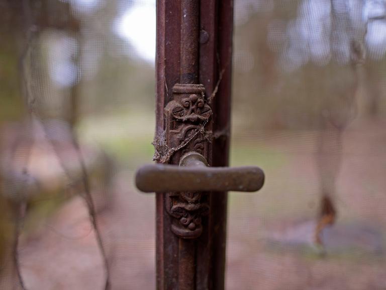 Im Fokus des Bildes ist ein alter, brauner Fenstergriff. Rundherum sind Spinnweben erkennbar. 