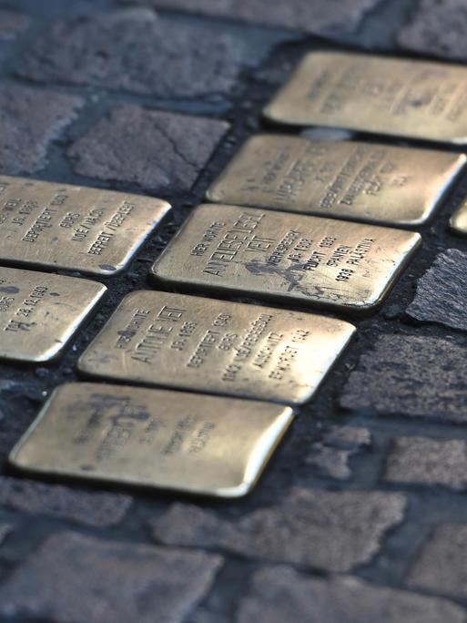 Verschiedene Stolpersteine im Boden zur Erinnerung an von den Nazis verfolgte, schikanierte und ermordete jüdische Mitbürger. (Quelle: picture alliance) Verschiedene Stolpersteine im Boden zur Erinnerung an von den Nazis verfolgte, schikanierte und ermordete jüdische Mitbürger. (Quelle: picture alliance)
