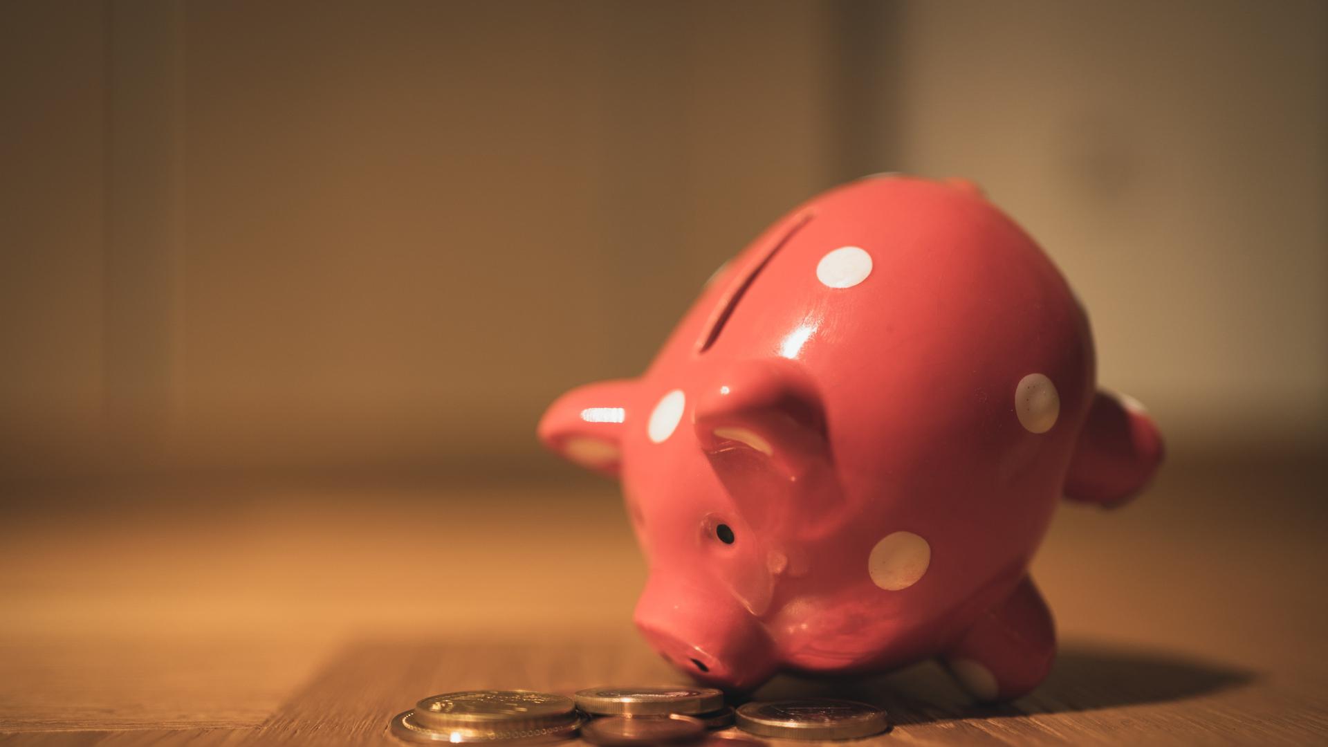 Ein Sparschwein Ein Sparschwein