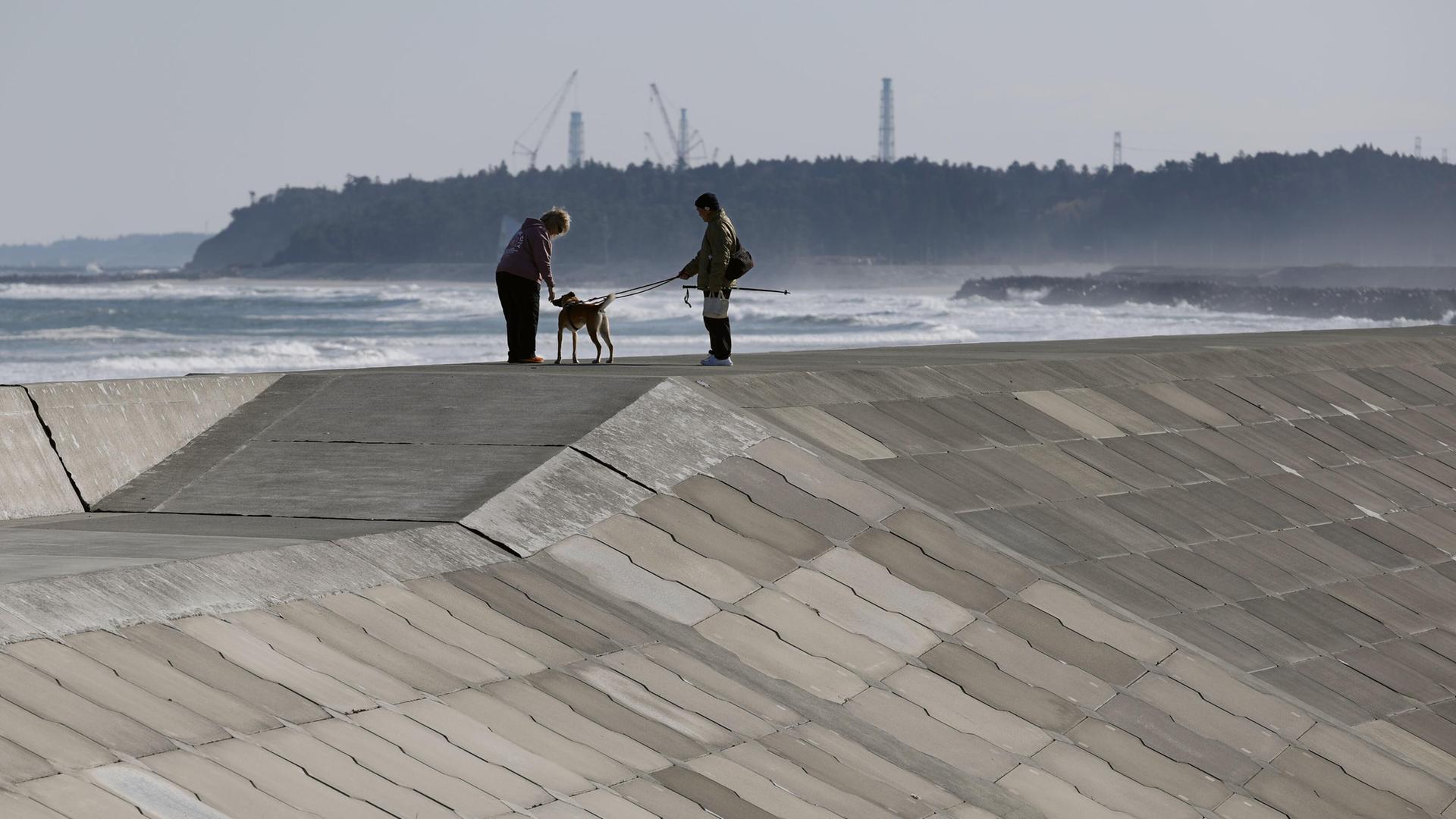 Menschen gehen mit einem Hund an einem Tsunami-Schutzdamm in Namie in der nordostjapanischen Präfektur Fukushima spazieren. Menschen gehen mit einem Hund an einem Tsunami-Schutzdamm in Namie in der nordostjapanischen Präfektur Fukushima spazieren.