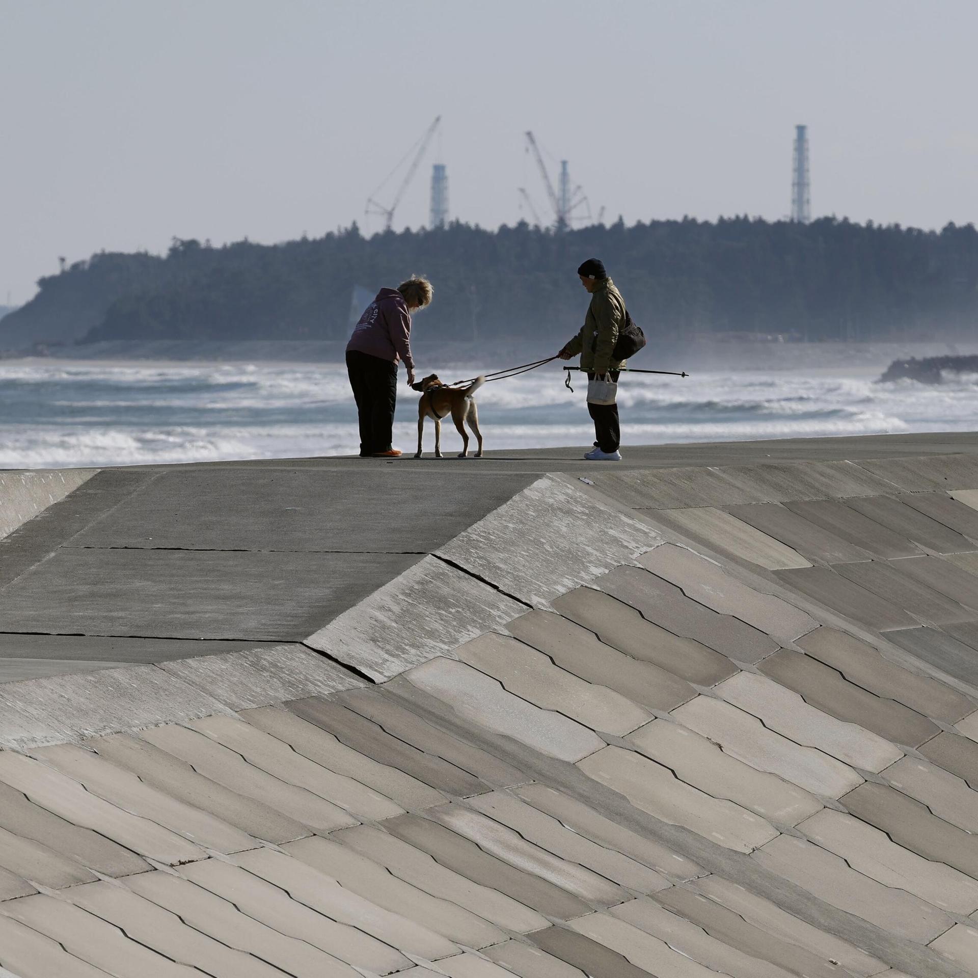 Atomkraft in Japan - Fukushima sucht neue Bürger