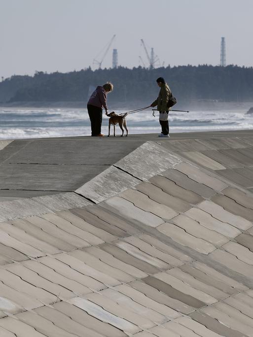 Menschen gehen mit einem Hund an einem Tsunami-Schutzdamm in Namie in der nordostjapanischen Präfektur Fukushima spazieren.