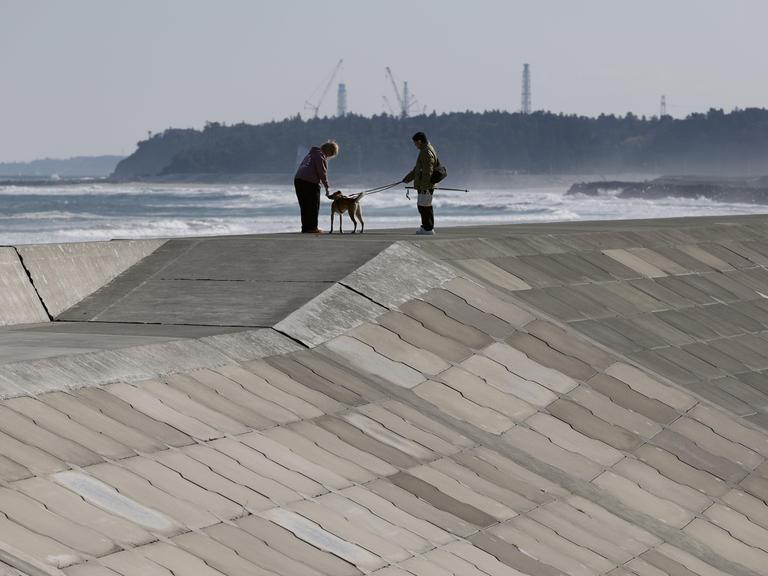Menschen gehen mit einem Hund an einem Tsunami-Schutzdamm in Namie in der nordostjapanischen Präfektur Fukushima spazieren.