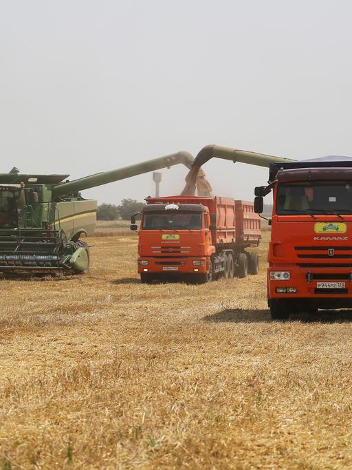 Die Getreidespeicher in der Ukraine sind voll. Aufgrund der Hafen-Blockaden könnten die Agrarprodukte aber nicht exportiert werden.