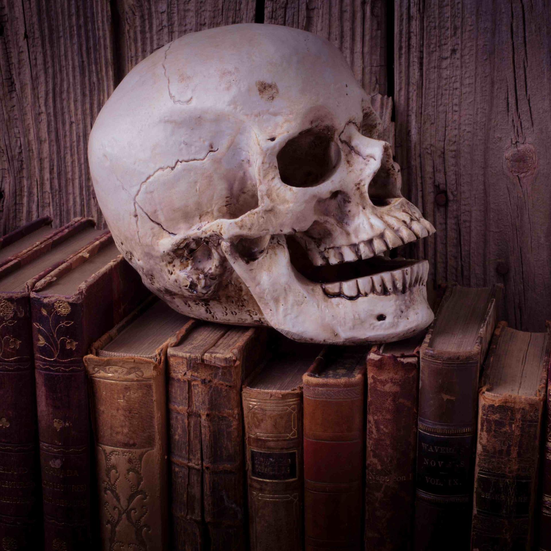 „Literatur letal“ - Mord im Literaturbetrieb