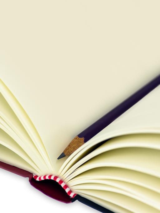 Ein aufgeschlagenes Notizbuch mit leeren Seiten. In der Mitte liegt ein Bleistift.