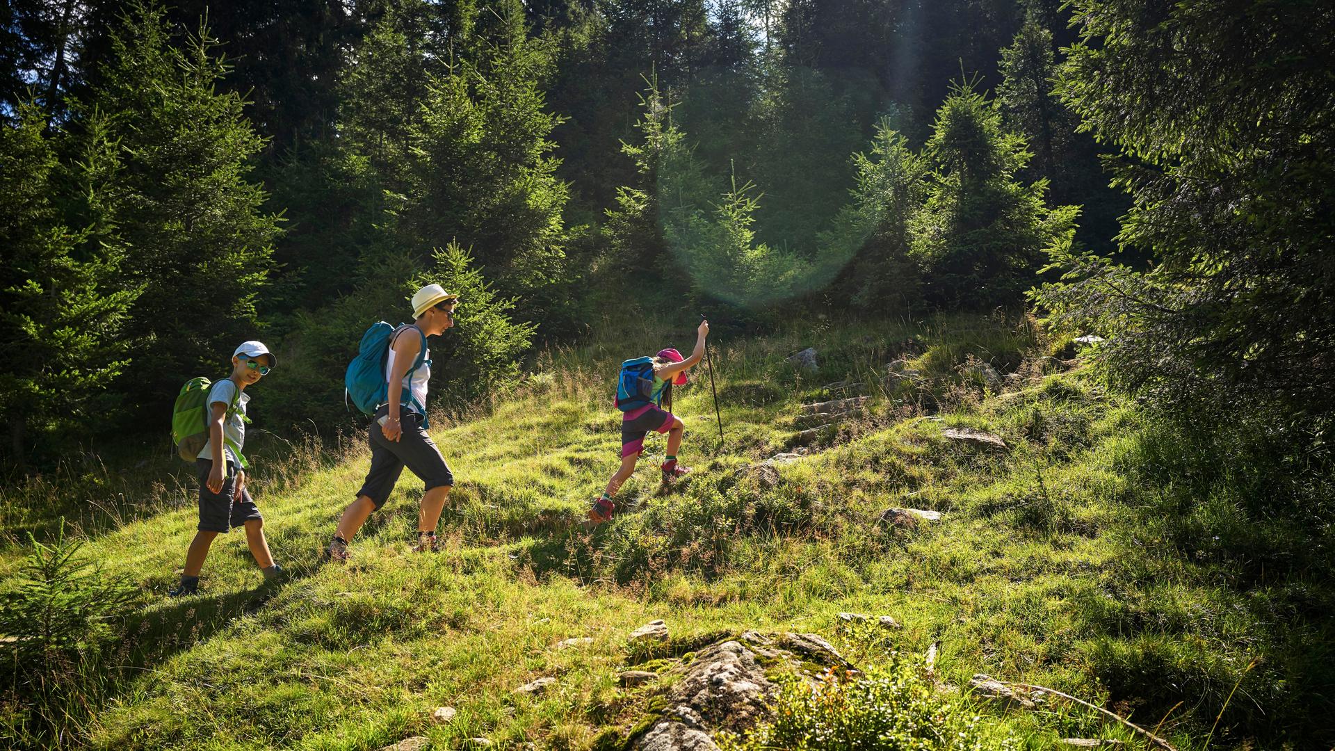 Eine Frau und zwei Kinder wandern in einer bewaldeten Umgebung. Es scheint die Sonne. (Symbolbild) 