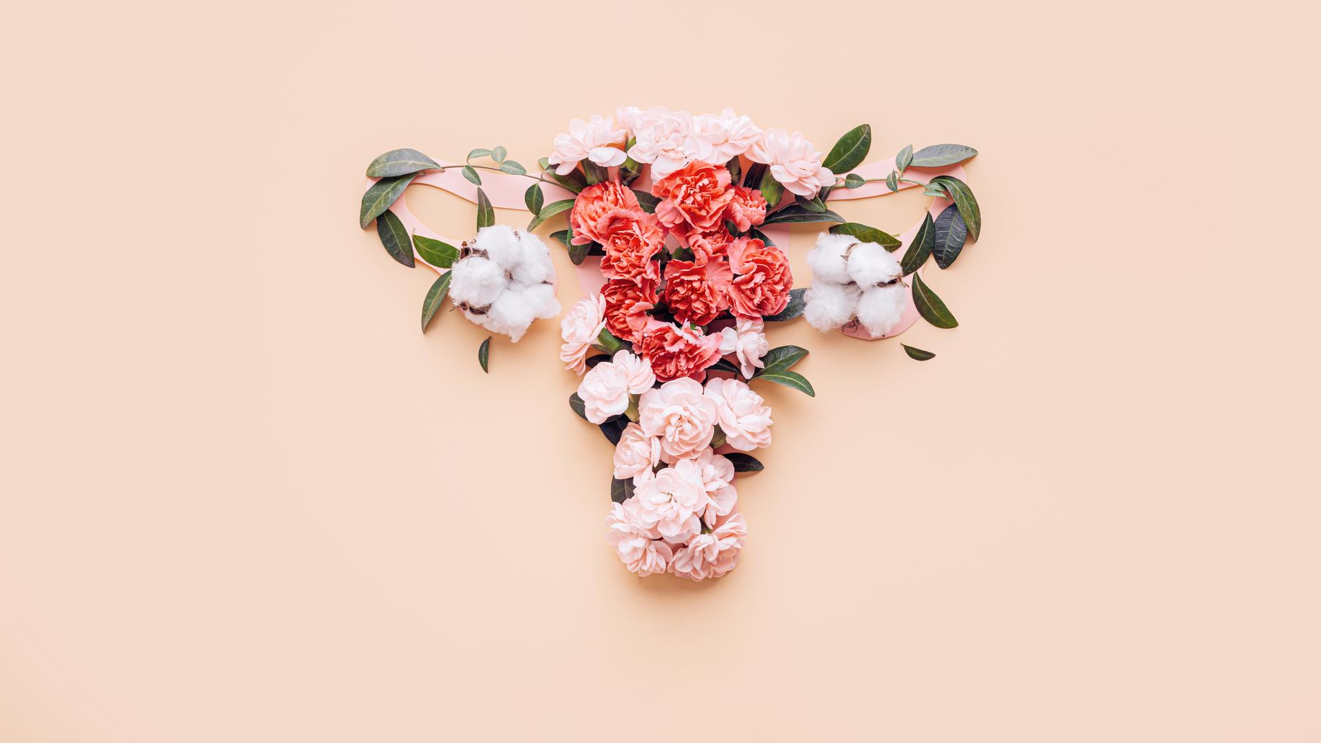 Blüten in verschiedenen Rosatönen bilden die Form eines weiblichen Uterus.