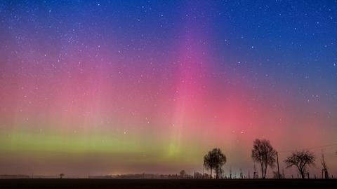 Ein Polarlicht leuchtet am Nachthimmel des  06. März 2016 nahe Lietzen im Landkreis Märkisch-Oderland, Brandenburg