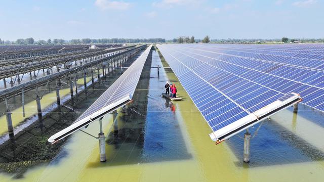 Solarmodule sind in langen Reihen über einem See installiert.