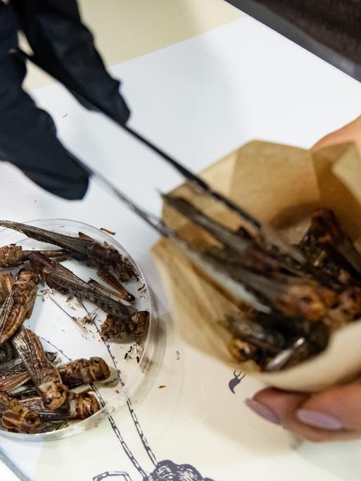 Eine Person füllt Insekten wie Pommes in eine Tüte zum Verkosten. 