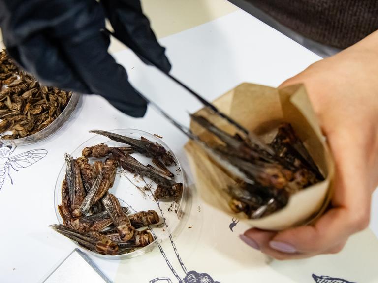 Eine Person füllt Insekten wie Pommes in eine Tüte zum Verkosten. 