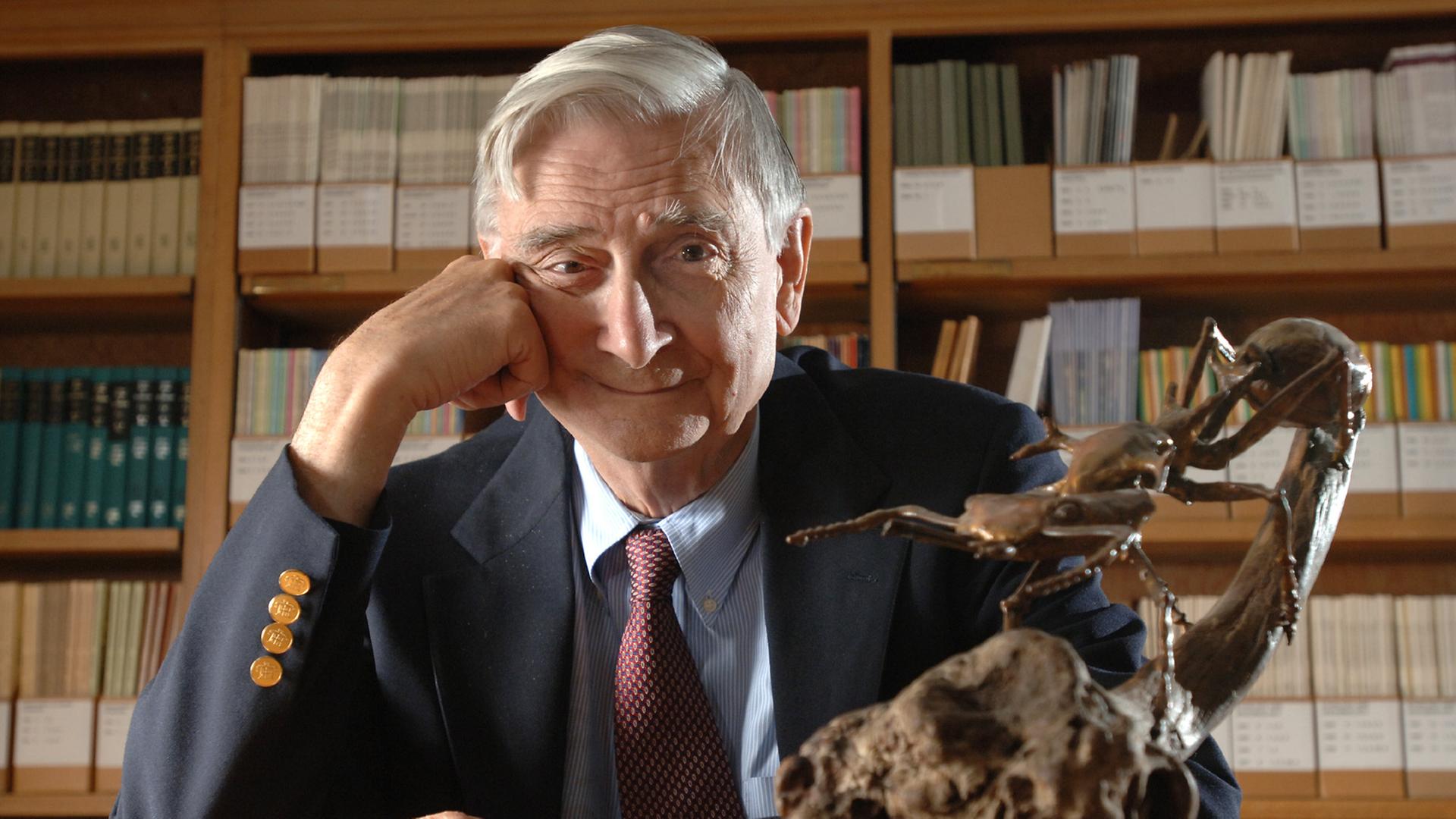 Der Evolutionsbiologe E.O. Wilson sitz an seinem Schreibtisch. Vor ihm sitzt eine Käferskulptur auf einem Ast. Der Evolutionsbiologe E.O. Wilson sitz an seinem Schreibtisch. Vor ihm sitzt eine Käferskulptur auf einem Ast.