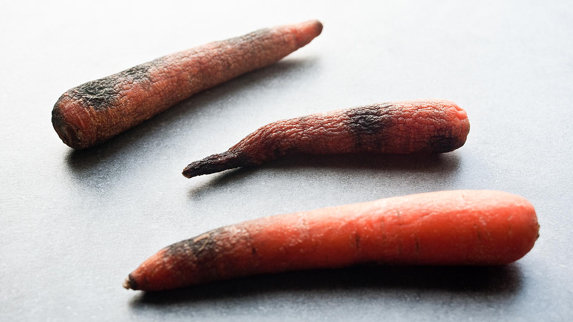 Mehrere vergammelte Karotten liegen auf einem Tisch.