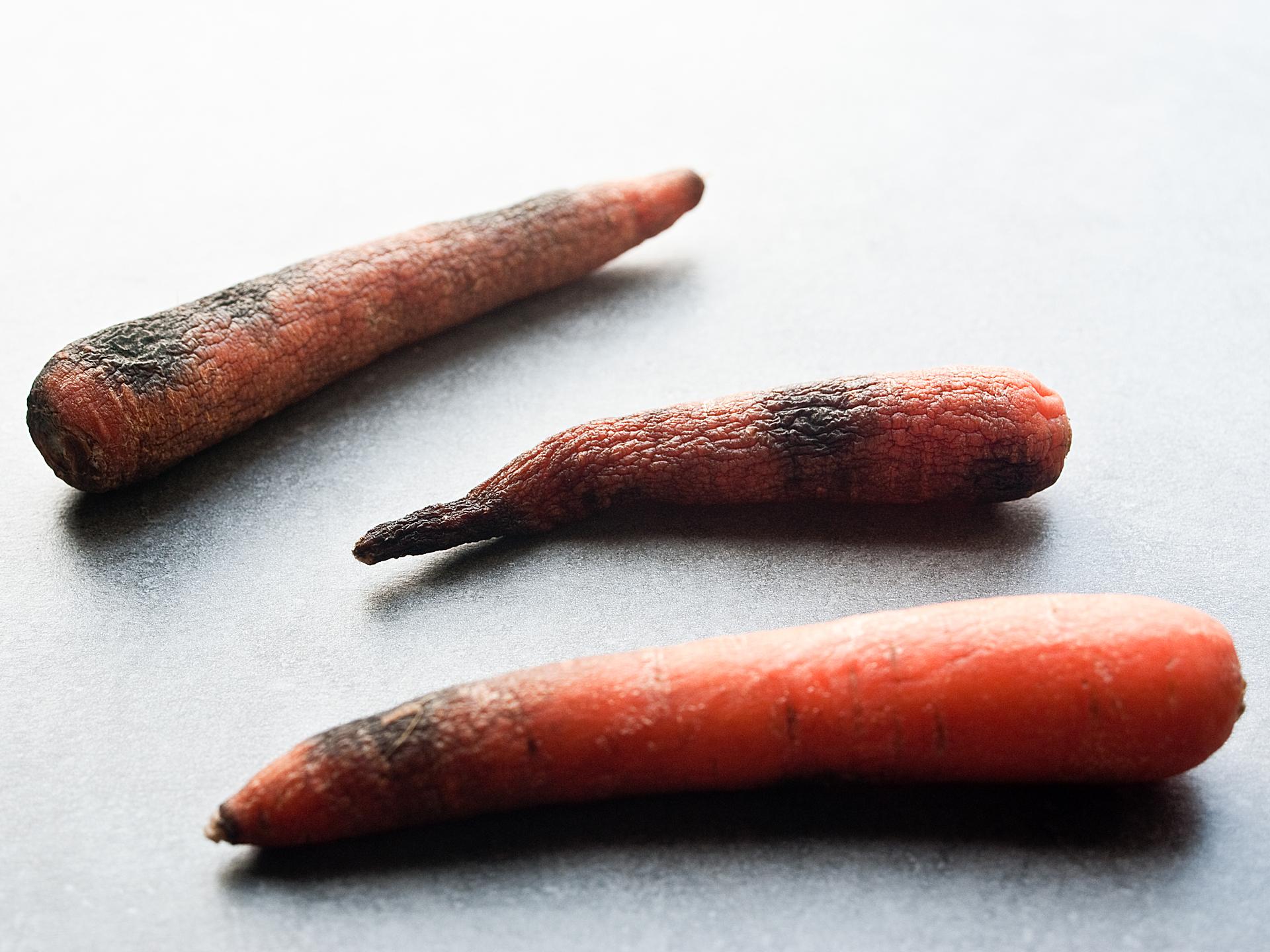 Mehrere vergammelte Karotten liegen auf einem Tisch.