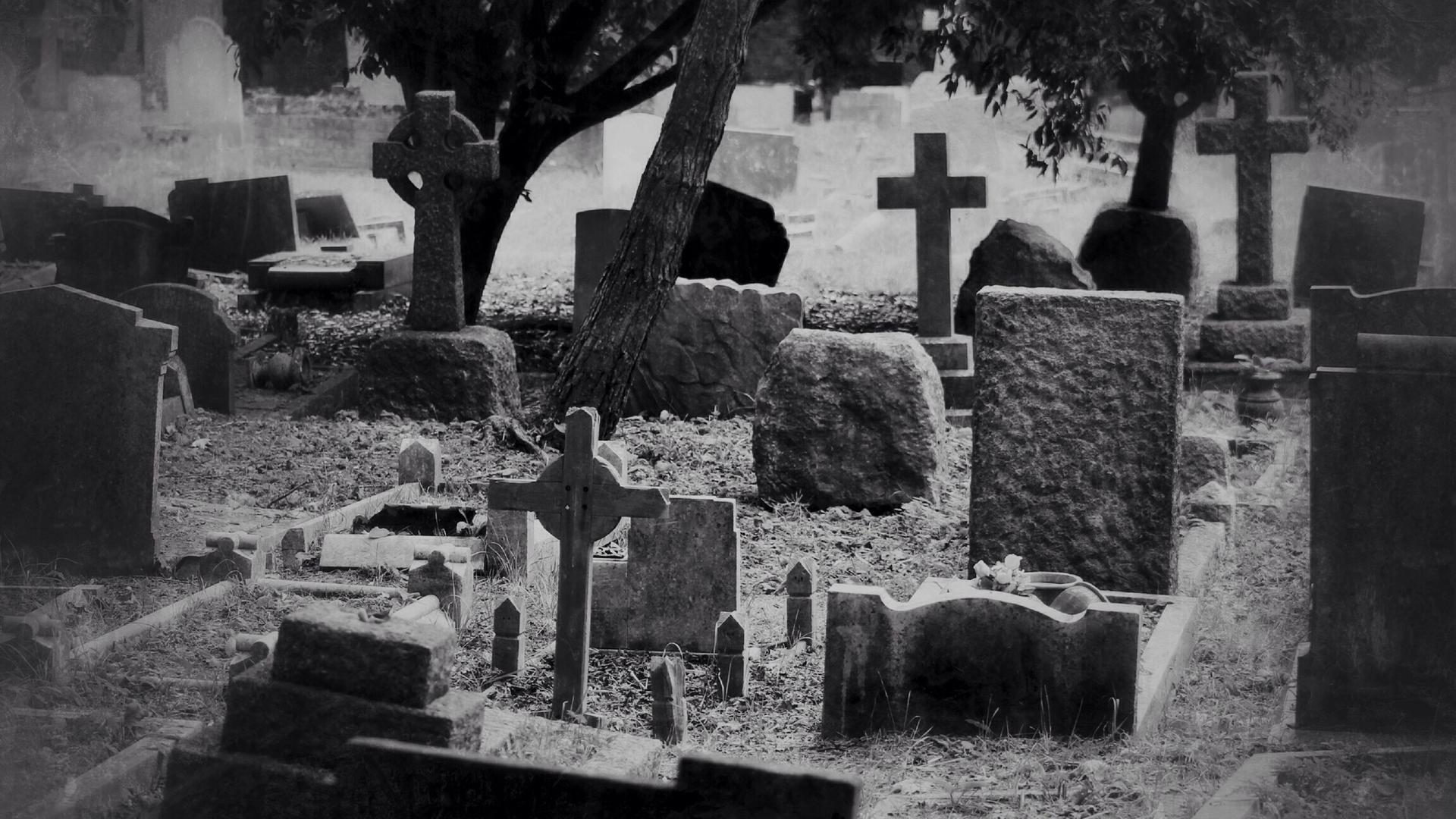 Schwarz-Weiß-Bild von Grabsteinen auf einem Friedhof