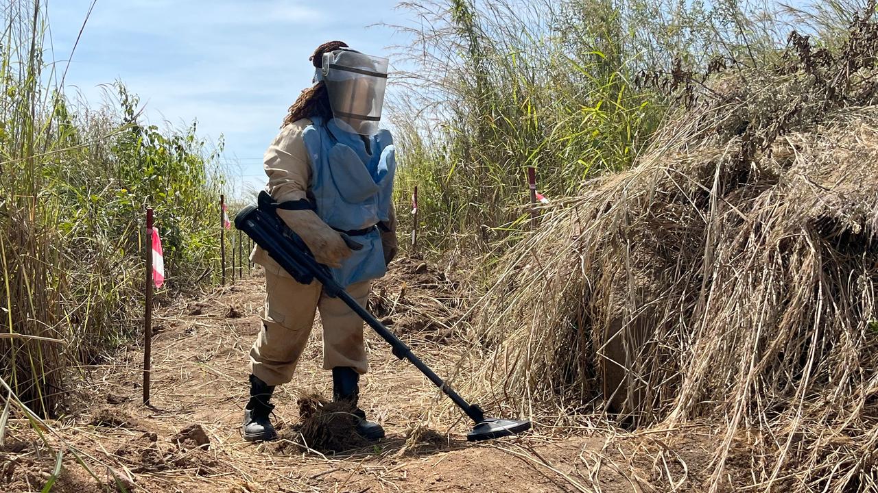 Eine Minenräumerin der belgischen Organisation Apopo sucht einen Weg in Angola nach Landminen ab. 