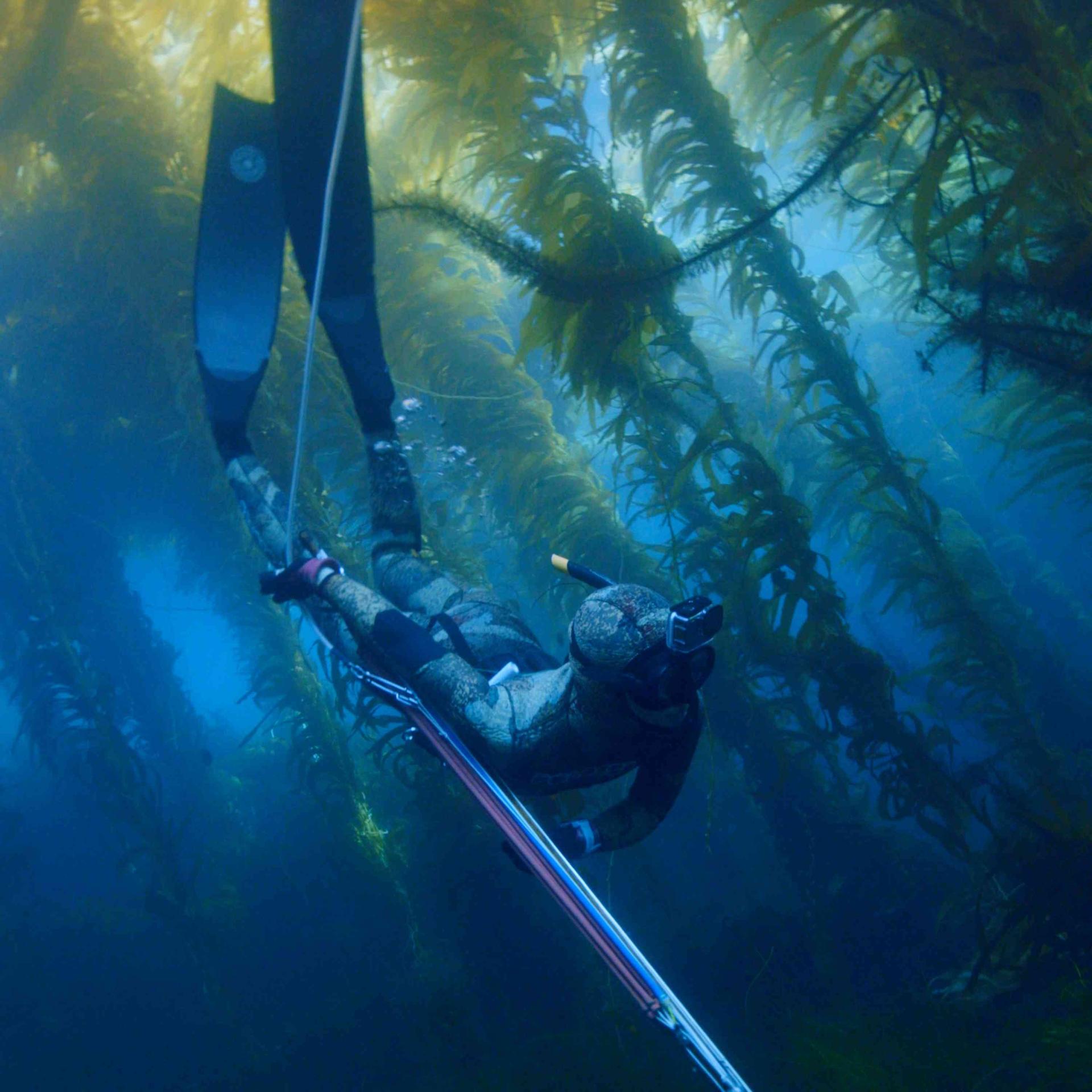 SPEARA - Mit einem Atemzug in die Tiefe