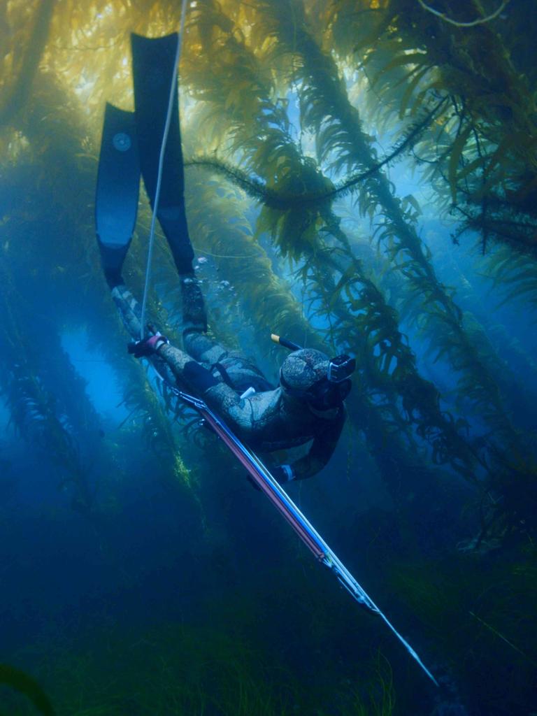 Unterwasseraufnahme von Mitsuki Hara mit Harpune beim Speerfischen im Meer