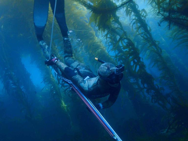 Unterwasseraufnahme von Mitsuki Hara mit Harpune beim Speerfischen im Meer